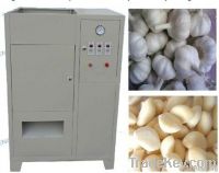 Hot sale Galic Machine / Galic Peeling for garlic clove