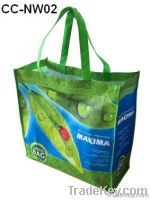 Promotional non woven bag