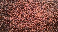 Mocha Haraazi Coffee Beans
