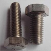stainless steel 202 304 316 hex bolt