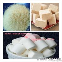 Marshmallow gelatin powder