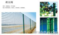 PVC Coated Holland Welded Wire Mesh