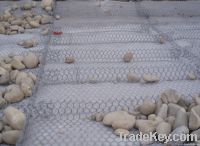 galvanized gabion(factory)