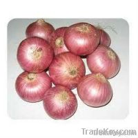 Red Onion