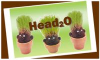 Head 2 O