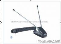 car antenna