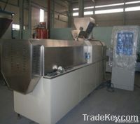 Corn Chips/Snacks Production Machinery