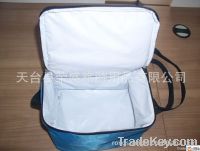 cooler bag