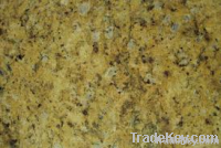 Yellow Granite directly of our quarry