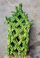 https://jp.tradekey.com/product_view/Chinese-Knot-Lucky-Bamboo-5906650.html