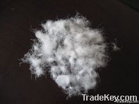https://www.tradekey.com/product_view/50-95-Washed-White-Goose-Down-4035228.html