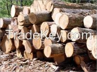 Timber Logs available for sale