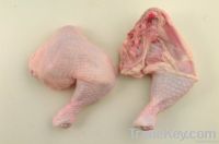 Whole Chicken | Export Whole Chicken Meat | Chicken Meat Suppliers | Poultry Meat Exporters | Chicken Pieces Traders | Processed Chicken Meat Buyers | Frozen Poultry Meat Wholesalers | Halal Chicken | Low Price Freeze Chicken Wings | Best Buy Chicken Part