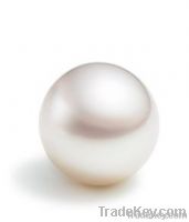 Fresh Water White Pearls & Jewellery Pearl