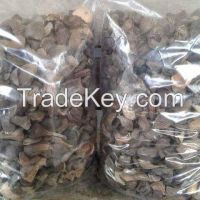 palm kernel shell