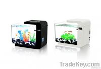 Acrylic Mini Aquarium MA-0200 (Black & white)