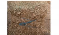 Rhodes Grass Hay