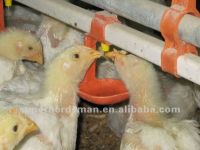 automatic nipple chicken drinker for broiler equipment