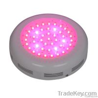 https://www.tradekey.com/product_view/135w-45x3w-led-Grow-Lights-rohs-Ce-Stc--2115480.html