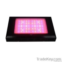 Reliable 600w(288x3W) LED grow light (ROHS CE STC certificate)