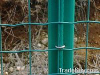 supply  euro wedled fence offered by China Anping HEngruida Wire Mesh