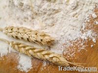 wheat flour