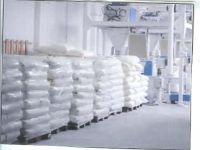Wheat | Wheat exporter | Wheat distributor | Wheat wholesaler | Wheat supplier | Wheat importer |  Wheat |Wheat for sale | long grain Wheat exporter | buy Wheat online | Wheat for sale |  Wheat exporter | Wheat wholesaler | long grain Wheat buyer |  Wheat
