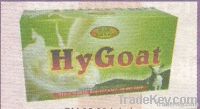 R&Z Hygoat Instant Milk