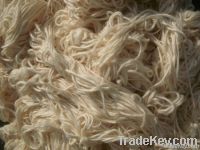 Roving  Cotton Waste
