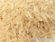 Parboiled Rice OEM U-Globe