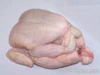 FROZEN CHICKEN