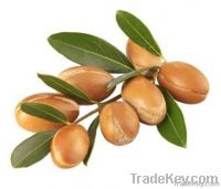 https://www.tradekey.com/product_view/Argan-Oil-2123873.html