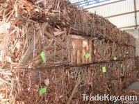 Copper Wire Scraps Suppliers | Copper Scrap Exporters | Copper Scrap Manufacturers | Cheap Copper Scrap | Wholesale Copper Scraps | Discounted Copper Scrap | Bulk Copper Scraps | Copper Scrap Buyer | Import Copper Scrap | Copper Scrap Importers | Copper S