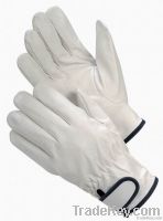 JS136GA/K Goat Grain Leather Glove