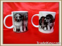 https://ar.tradekey.com/product_view/11oz-Milk-Porcelain-Mug-With-Dog-Design-2126808.html