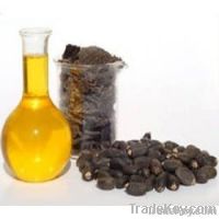 Crude Jatropha Oil