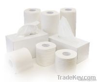 https://www.tradekey.com/product_view/2-ply-Toilet-Paper-5139124.html