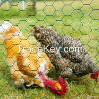 chcken mesh /hexagonal wire mesh