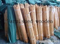 varnished wooden mop handle