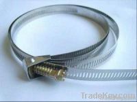 Quickly Release Hose Clamp