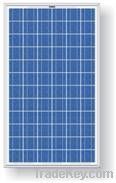Solar panels(YXGF-245P60)