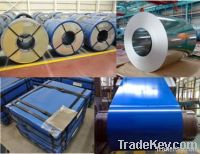 tin plate coils/Galvanized steel coil