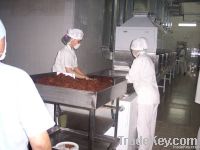 microwave drying sterilization equipment