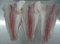 PANGASIUS FILLET UNTREATED