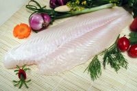 Well-trimmed Pangasius Fille - t鯰魚片