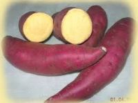 https://www.tradekey.com/product_view/Fresh-Japanese-Sweet-Potato-7034079.html