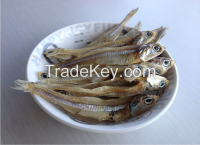 DRIED ANCHOVY FISH, DRIED SPRAT, SUN DRIED ANCHOVY, DRIED SEAFOOD