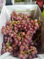 CRIMSON SEEDLESS GRAPES