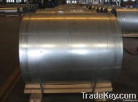 GI / Galvanized Steel Coils