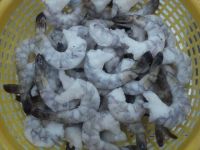FROZEN RAW BLACK TIGER SHRIMPS PTO WITH STPP, IQF, 100% NET WEIGHT, NET COUNT